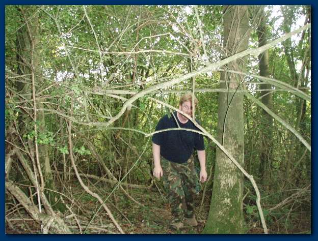 600x449 pixels (201K)